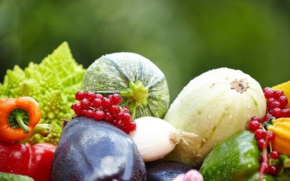 食品设备认证中心_中国食品认证机构_中国有机食品认证网