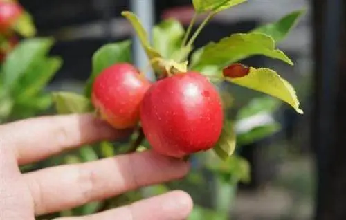 食品设备认证中心_中国食品认证机构_中国有机食品认证网