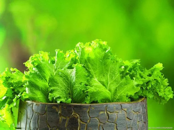 中国有机食品认证网_食品设备认证中心_中国食品认证机构