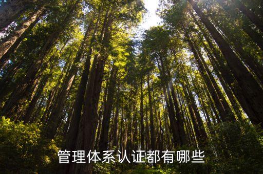 管理体系认证都有哪些