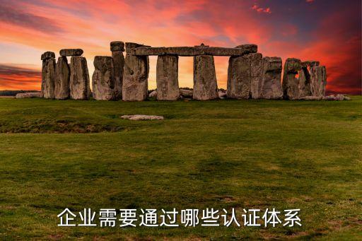 企业需要通过哪些认证体系