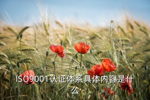 ISO9001认证体系具体内容是什么