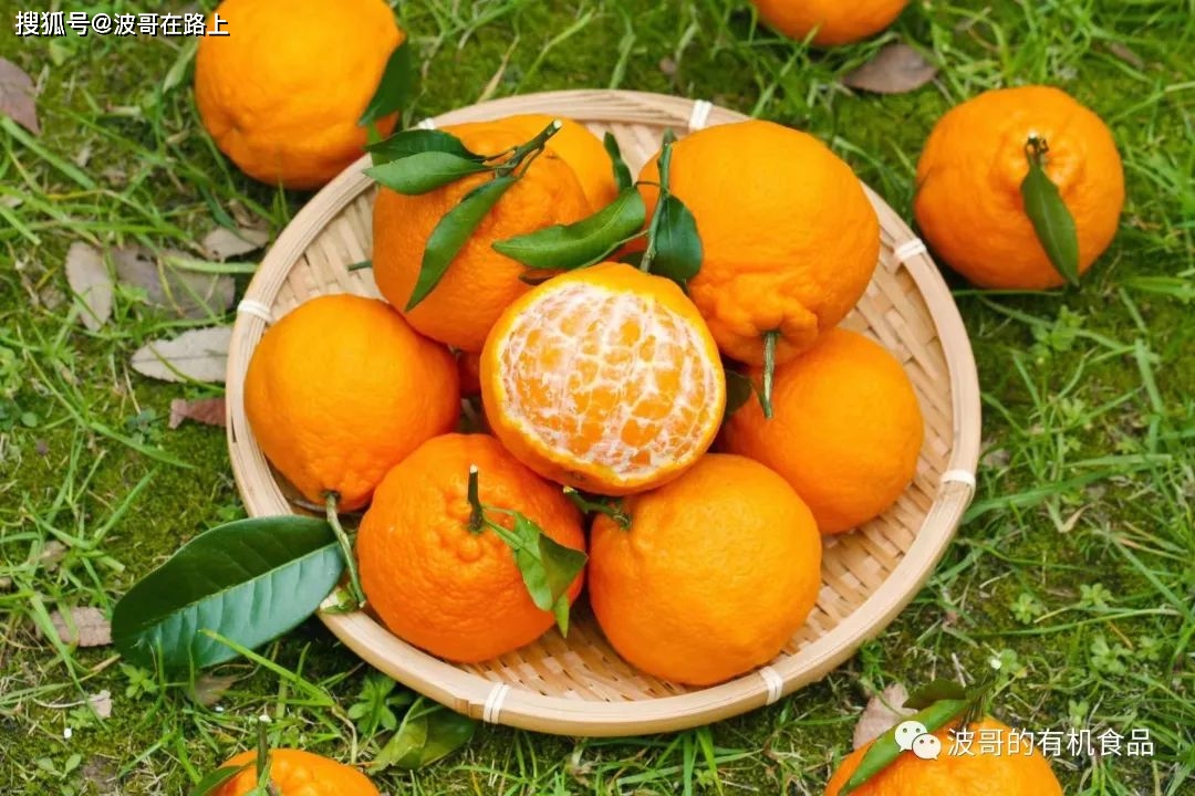 中国食品认证机构_中国食品认证的类别_中国有机食品认证网