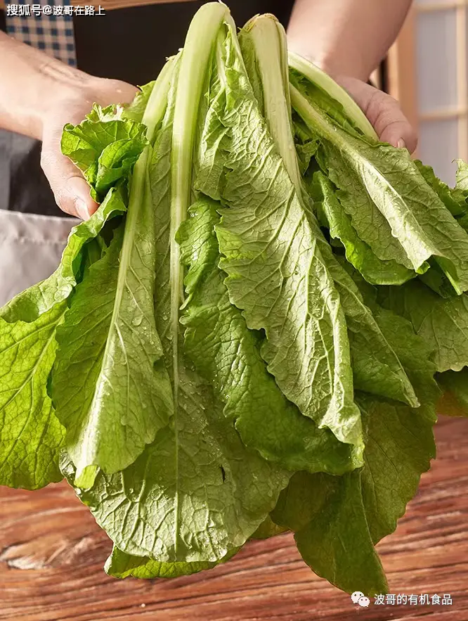 中国有机食品认证网_中国食品认证机构_中国食品认证的类别