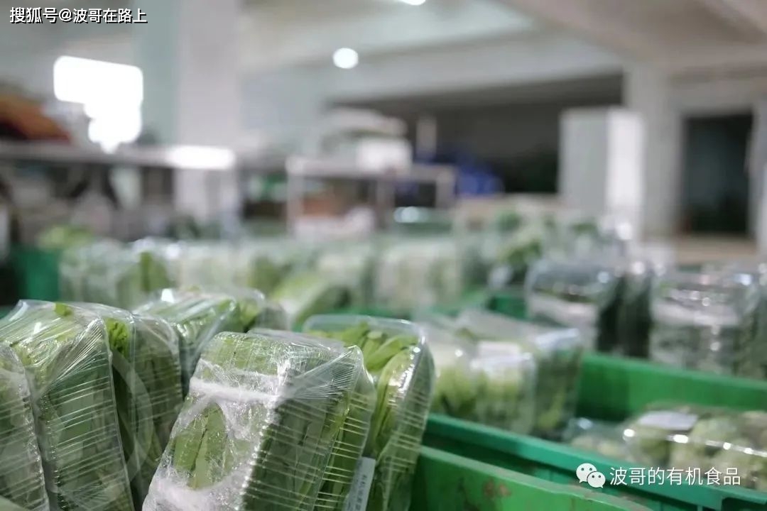 中国食品认证机构_中国有机食品认证网_中国食品认证的类别