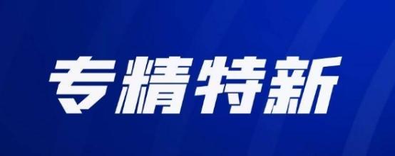 国家专精特新小巨人企业认定标准_国家级专精特新小巨人企业标准_专精特新小巨人企业评审