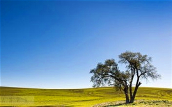 需3c认证产品目录_产品做3c认证多少钱_哪些产品需要3c认证