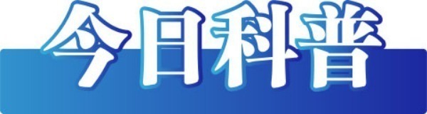 (2023年12月4日)今日辟谣:重庆养老待遇资格须在固定时间内认证?