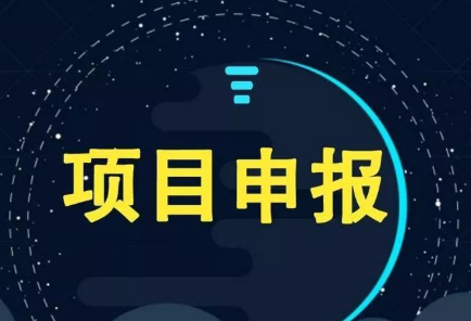 项目申报